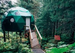 Glamping in Seward USA by Kyle Glenn via Unsplash