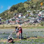 Strawberry Farm near Baguio