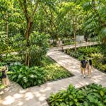 Arroceros Forest Park
