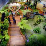 Changi Airport Singapore