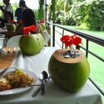 Bohol River Cruise