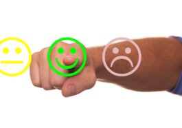 Customer Reviews in Travel Review Websites