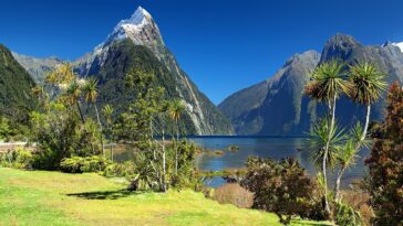 Milford Sound New Zealand