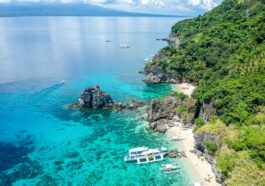 Diving in Apo Island Negros Oriental photo by Cris Tagupa via Unsplash
