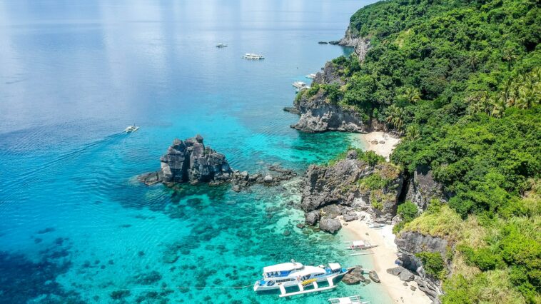 Diving in Apo Island Negros Oriental photo by Cris Tagupa via Unsplash