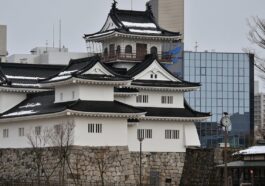 Toyama Castle photo via Pixabay