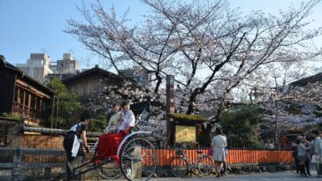 Sakura in Kyoto