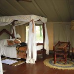 Experience Glamping