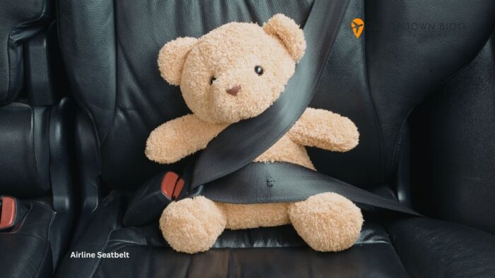Airline Seatbelt