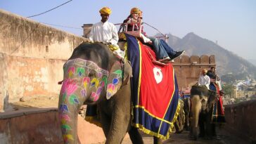 Elephant Safari in India