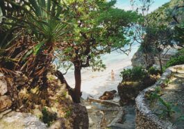 Winding steps leading to the Petty Beach