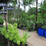 Tour Inside Costales Organic Farms