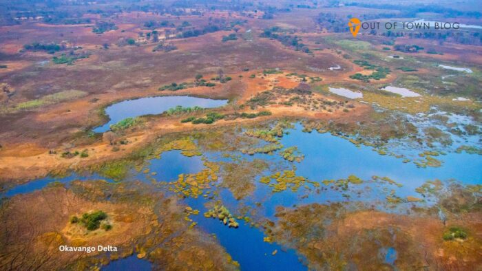 Aerial view, Okavango Wetlands, Okavango Delta, Botswana