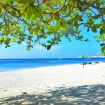 South Palms Resort Beach Front