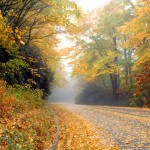 Along the Blue Ridge Parkway