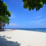 Pamilacan Island Bohol