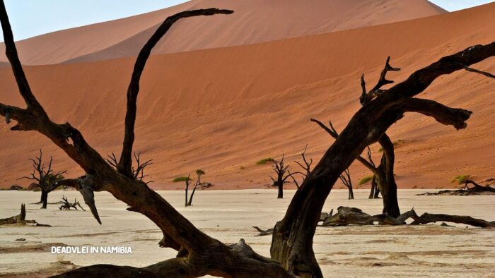 Deadvlei in Namibia