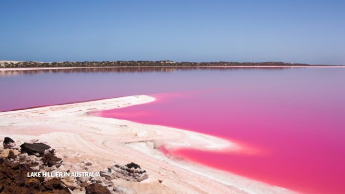 Visiting Lake Hillier in Australia 