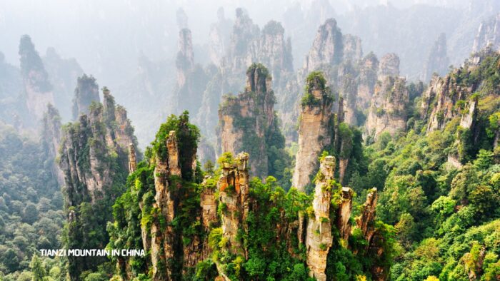 Tianzi Mountain in China 