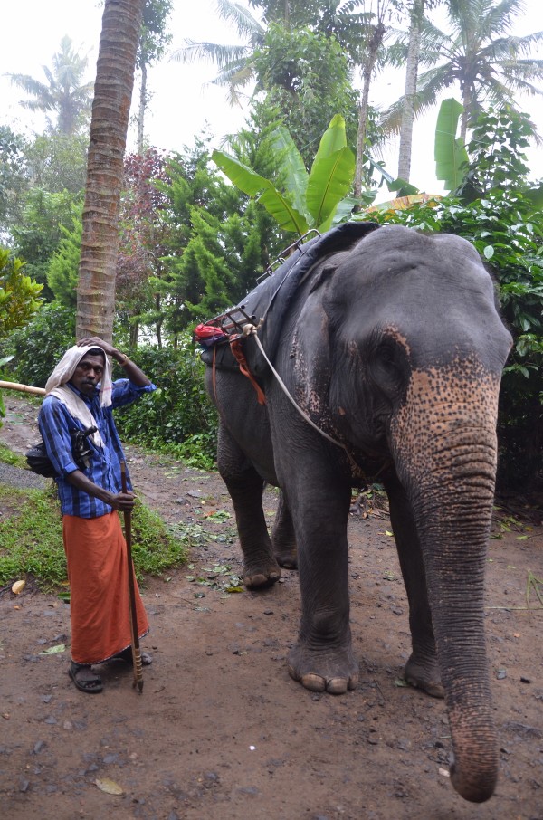 Tusker Trail in Thekkady