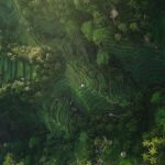 Tegallalang Rice Terraces by Silas Baishch via Unsplash