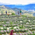 Cordillera Heritage Warrior Tour Participants in Atok Benguet