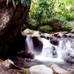 Indulge in the sights and sounds of nature by enjoying a quick dip in the cold spring waters of T’daankini Falls.