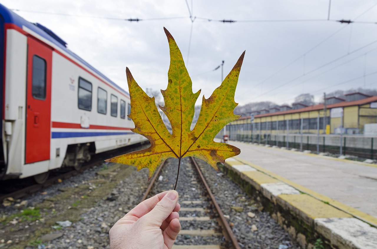 Travel During School Breaks