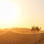 Dubai Desert Safari