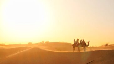 Dubai Desert Safari
