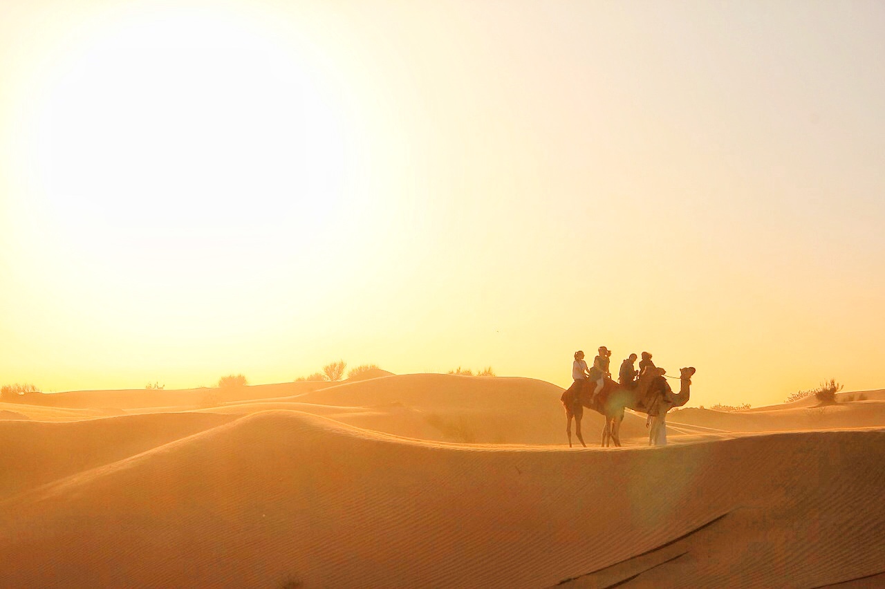 Dubai Desert Safari