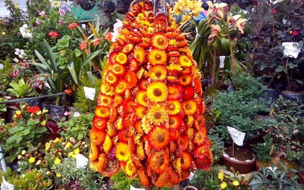 Experience Panagbenga Festival once a year
