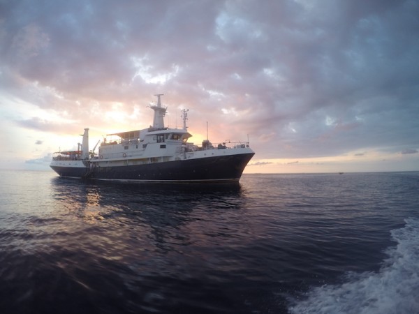 MV Discovery Palawan at sunset