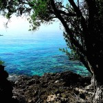 Panoramic view of the ocean