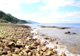 Alegria shoreline