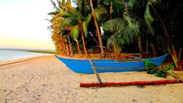 Boats for rent