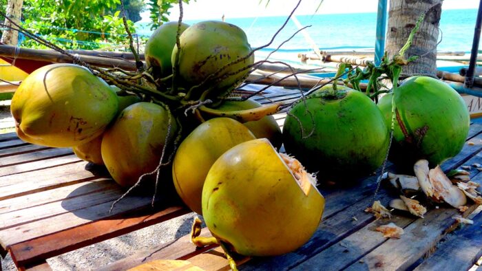 Fresh coconuts at PHP25 each