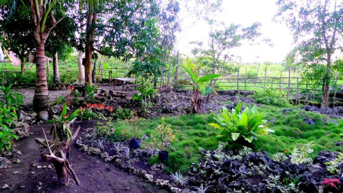 Garden by the entrance