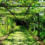 Green perspective