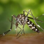 Is there Zika virus in the Philippines?