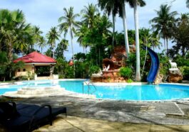 Main Swimming Pool