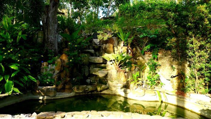Mini pond
