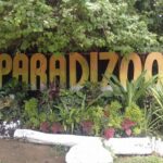 Paradizoo