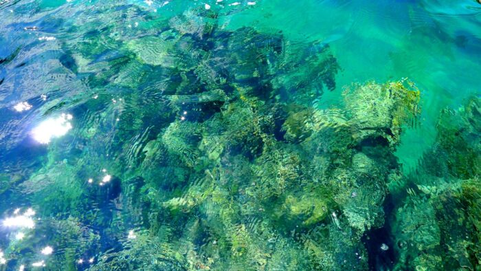 Protected Marine Sanctuary