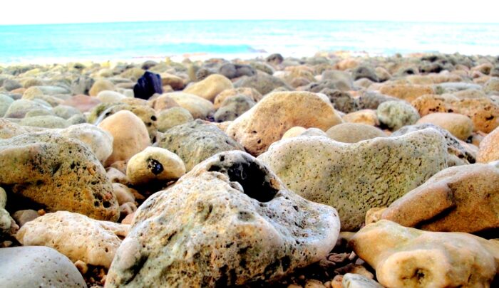 Rocky beach