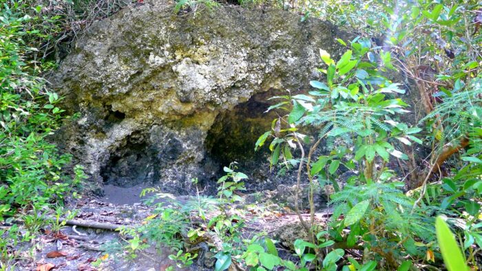 Salt-making area