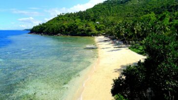 The beautiful Hermit's Cove shoreline