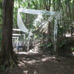 A fantasy procession within Manmade Forest's dense Mahogany trees