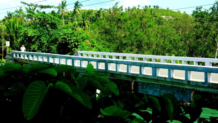 Bridge on the road to Pinamungajan