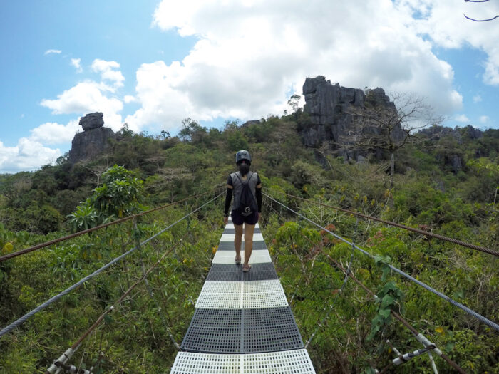 Long bridge crossing high up in the air